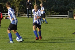 Teylingen JO13-2 - Quick Boys JO13-4 (1 september 2018)