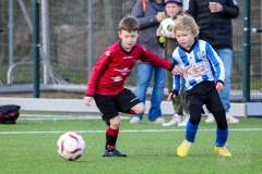 F.C. Rijnvogels JO8-1 - Quick Boys JO8-6 (25 februari 2023)