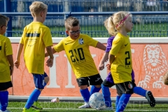 AAA9060