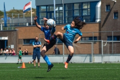 C_Harmsen_21062025_7097
