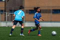 C_Harmsen_21062025_7127