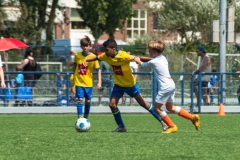 C_Harmsen_21062025_7038