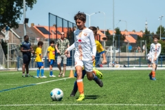 C_Harmsen_21062025_7040