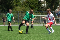 C_Harmsen_21062025_7009
