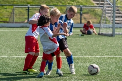 AAB2011