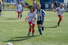 AAB2016