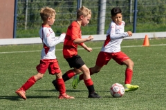 AAB2024