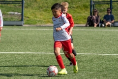 AAB2032