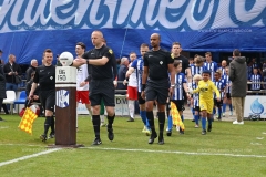 Quick Boys - IJsselmeervogels door Ed Baars (16 mei 2026)