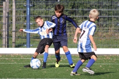 Quick Boys JO11-5 - Roodenburg JO11-1 (14 september 2024)