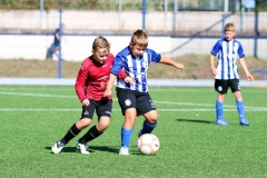 Quick Boys JO11-7 - Rijnvogels JO11-1 (6 september 2025)