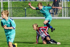 Quick Boys JO14-1 - Excelsior Maassluis JO14-1 (5 November 2022)