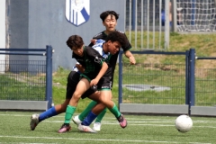 Quick Boys JO16-3 - VUC JO16-1 (31 mei 2025)