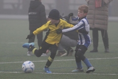 Quick Boys JO8-2 - Oegstgeest JO8-1 (18 januari 2025)