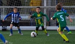 compressed-naamloos-14-van-1