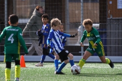 compressed-naamloos-2-van-1