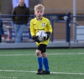 compressed-naamloos-22-van-1