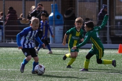 compressed-naamloos-3-van-1