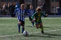 compressed-naamloos-4-van-1