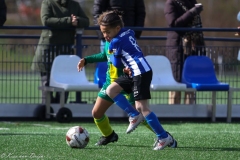 compressed-naamloos-40-van-1