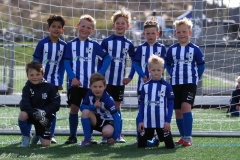 compressed-naamloos-1-van-1