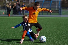 compressed-naamloos-21-van-1