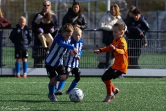 compressed-naamloos-23-van-1