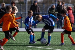 compressed-naamloos-24-van-1