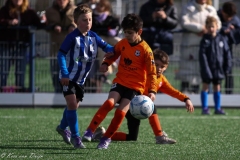 compressed-naamloos-28-van-1