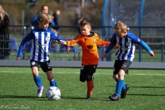 compressed-naamloos-3-van-1