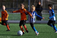 compressed-naamloos-7-van-1