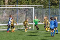 Quick Boys JO8-6 - Rijnsburgse Boys JO8-3 (17 september 2022)