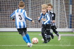 Quick Boys JO8-6  - S.J.C. JO8-3 (11 februari 2023)