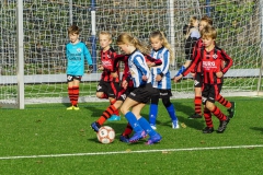 Quick Boys JO9-10JM - Teylingen  JO9-1 (5 november 2022)