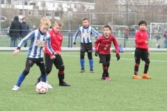 Quick Boys JO9-5 - Rijnvogels JO9-2 (23 november 2024)