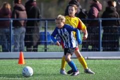 compressed-naamloos-10-van-1