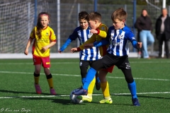 compressed-naamloos-18-van-1