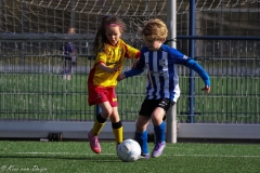 compressed-naamloos-23-van-1