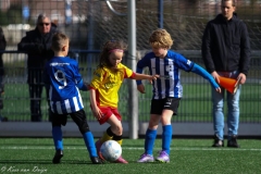 compressed-naamloos-24-van-1