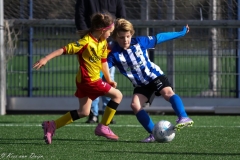 compressed-naamloos-25-van-1