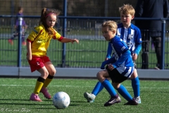 compressed-naamloos-31-van-1