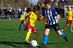 compressed-naamloos-36-van-1