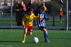 compressed-naamloos-4-van-1