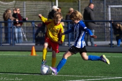 compressed-naamloos-9-van-1