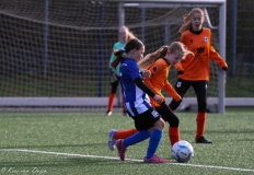 compressed-naamloos-2-van-1