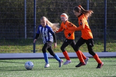 compressed-naamloos-23-van-1