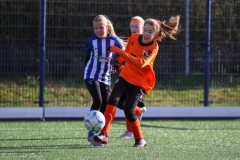 compressed-naamloos-24-van-1