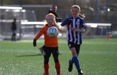 compressed-naamloos-25-van-1