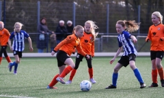 compressed-naamloos-5-van-1