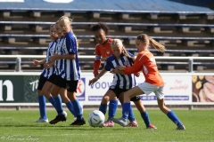 naamloos-141-van-1